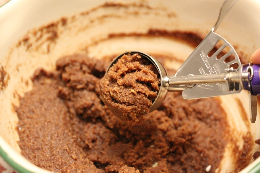 Scoop dough into 1-inch balls