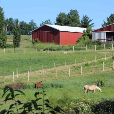 A farm with horses grazing in a field.